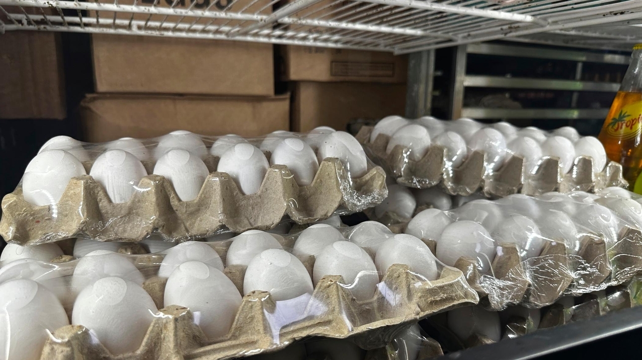US eggs prices hit a record high of $4.95 and are likely to keep ...