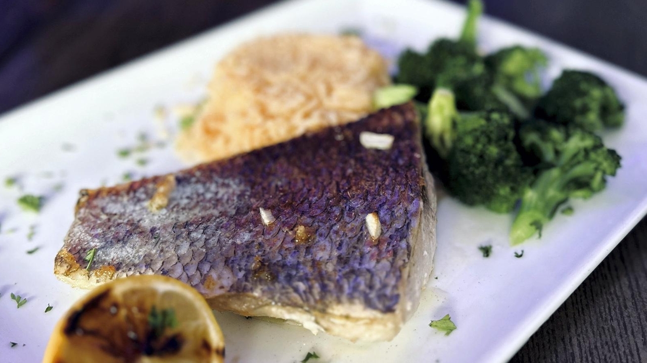 Affordable seafood spot opens in LI downtown