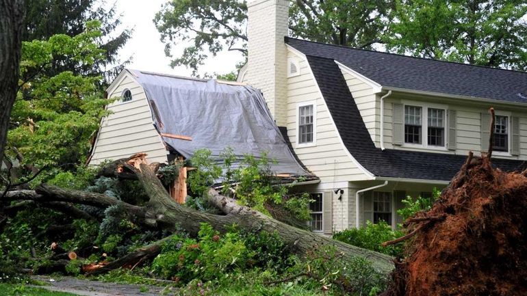 A tree fell on a Garden City house during Tropical...