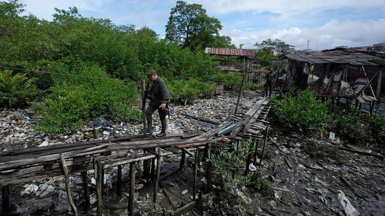 Police walk on a bridge above a mangrove-cloaked river as...