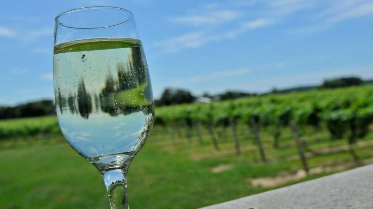 Stew Leonard's in Carle Place Free wine tasting Newsday