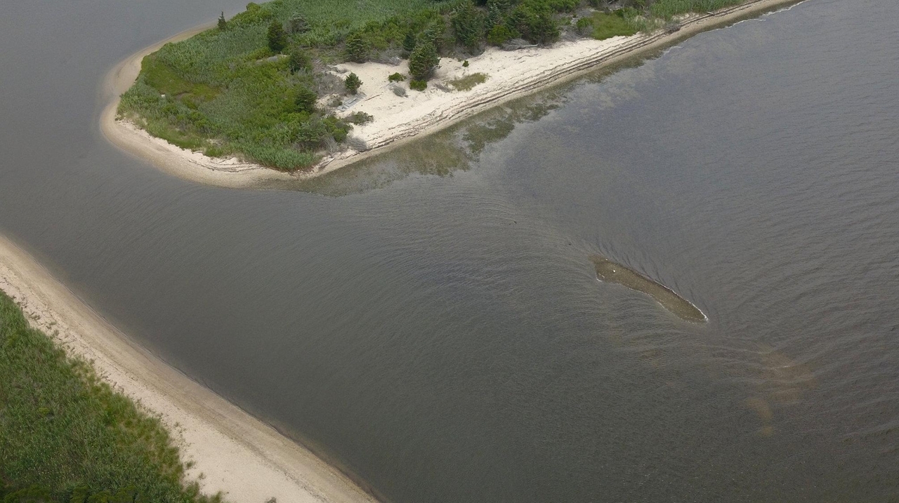 Worst brown tide in years threatens Great South Bay Newsday