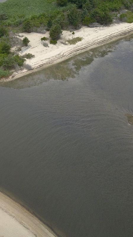 LIBLOOM210606_photos