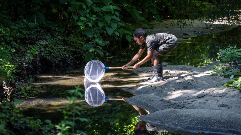 Damynye Bundick, 9, of Brooklyn scoops water at Valley Stream...