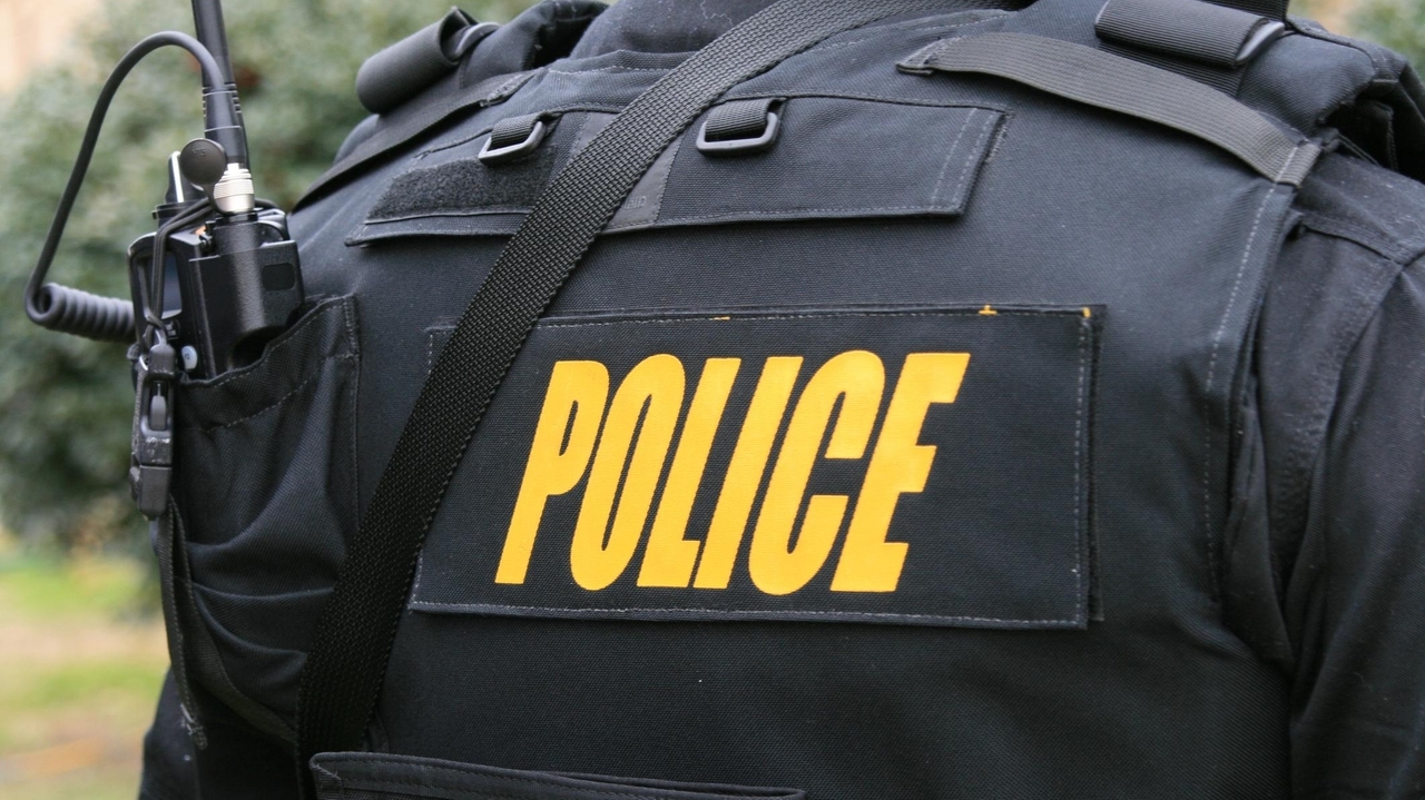 Take strong steps to stop the swatting - Vimarsana News