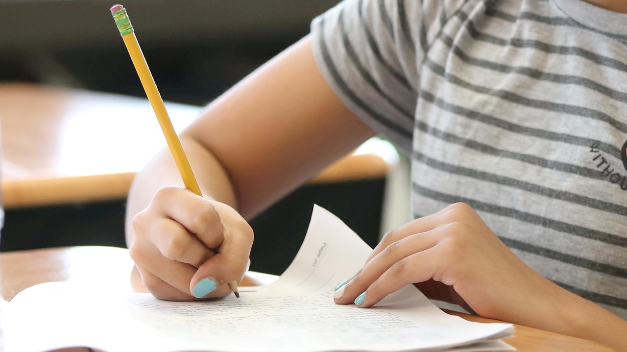 Math scores for fourth-, eighth-grade students drop at record rates - Vimarsana News