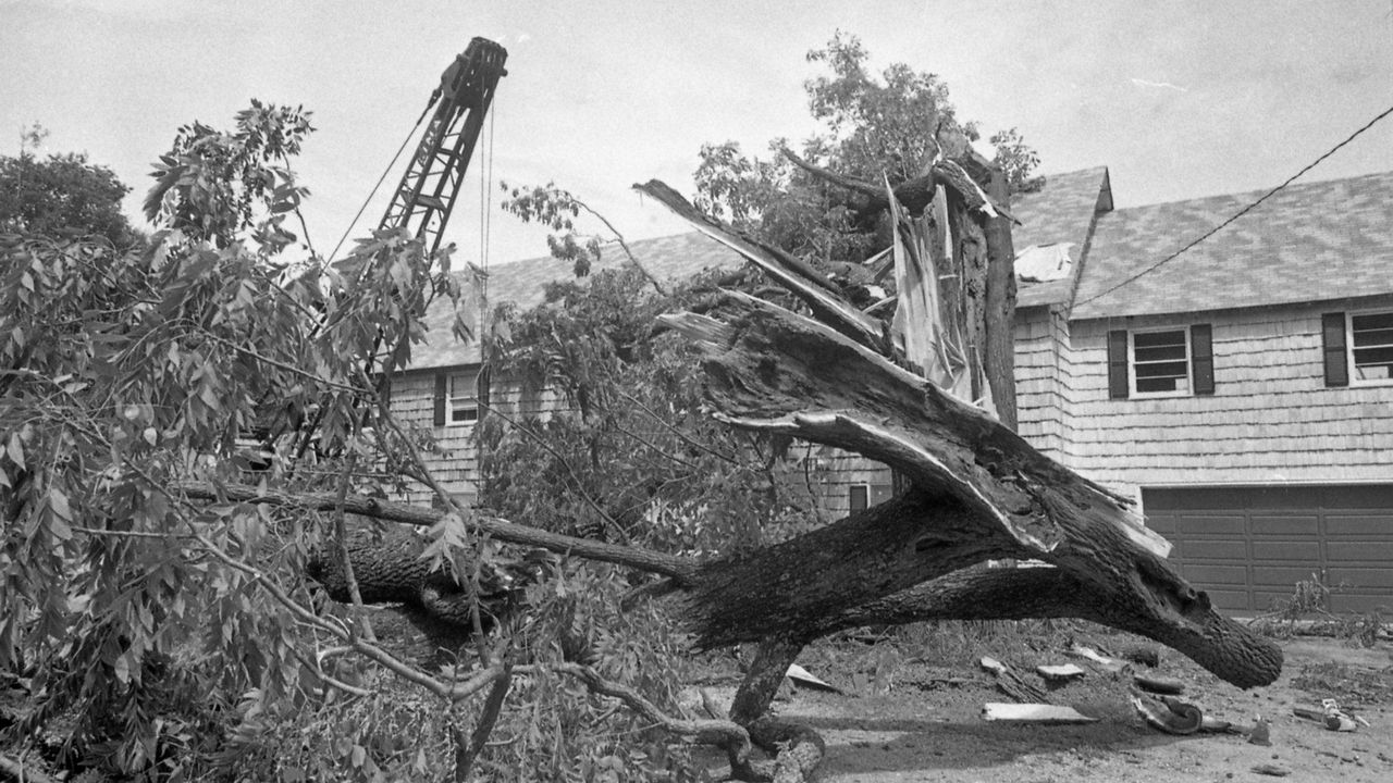 The story of 1976's Hurricane Belle in photos - Newsday