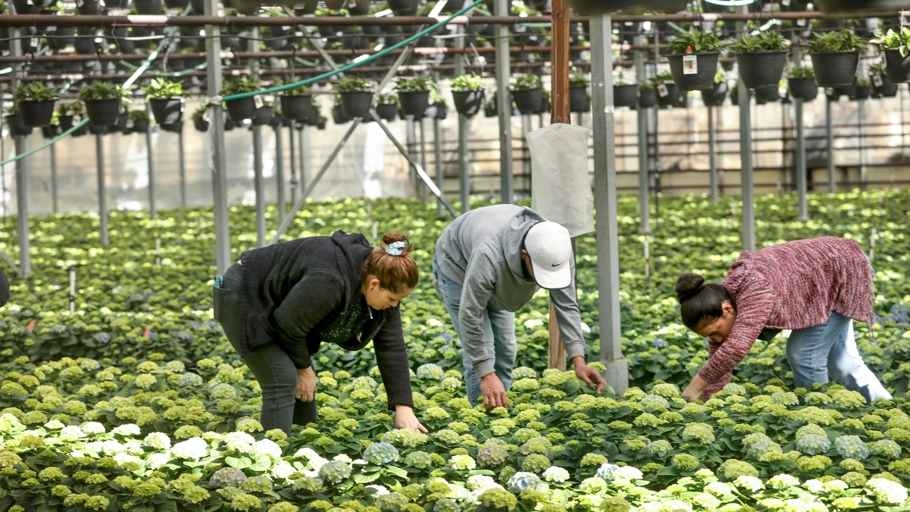 New York State minimum wage will rise with inflation index starting in