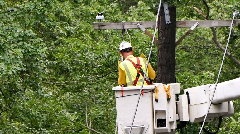 A joint crew comprised of PSEG and contractors work on...