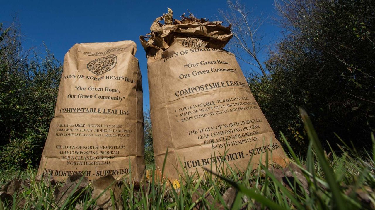 Paper or plastic? The question's not just for groceries as towns look