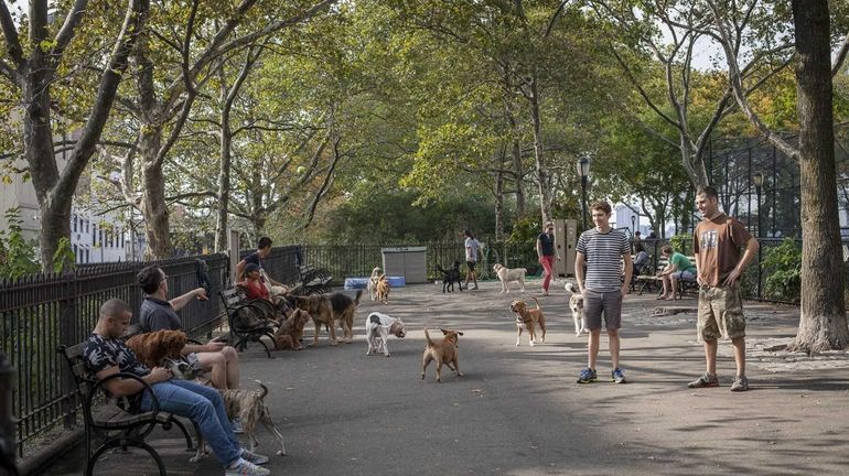 DeWitt Clinton Park in Hell's Kitchen features a dog park....