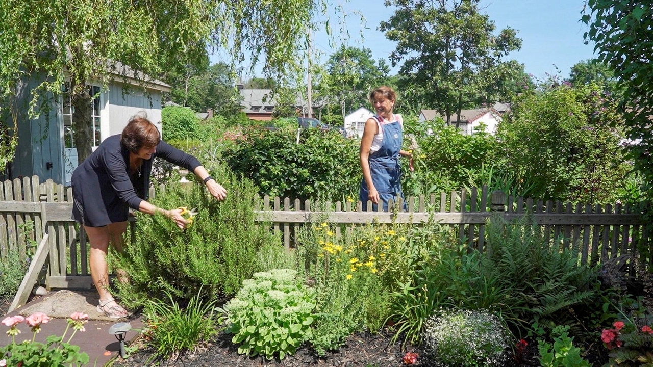 Front-yard vegetable gardens grow in Oakdale - Vimarsana News