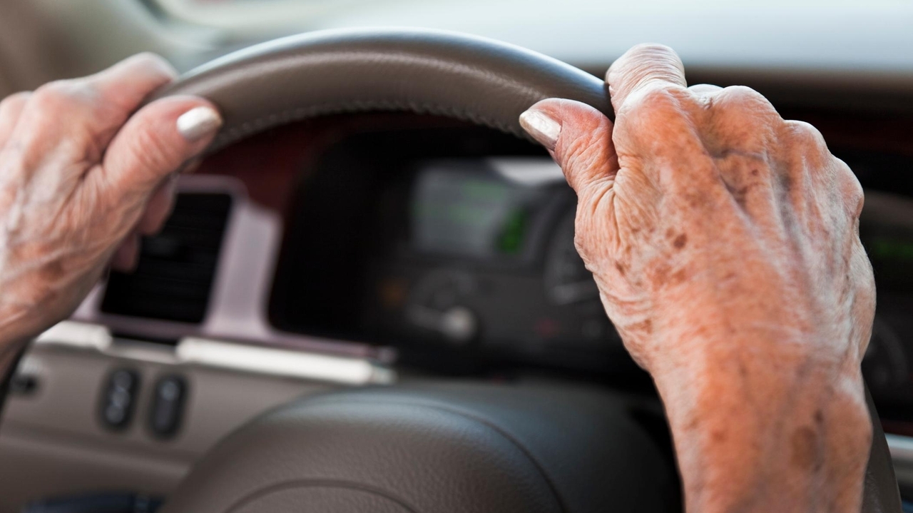 Defensive driving, providers for people with disabilities, elderly services, pedestrian safety - Vimarsana News
