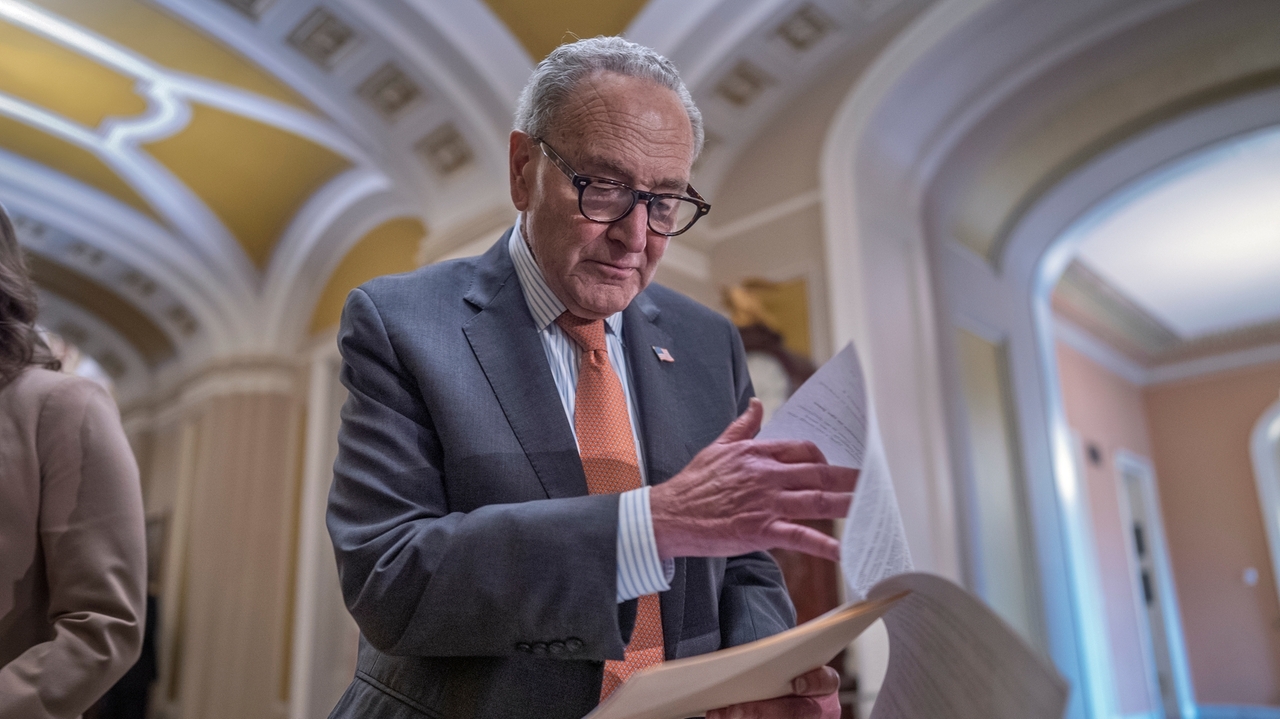 Chuck Schumer has broad support from his caucus, but midterms could ...