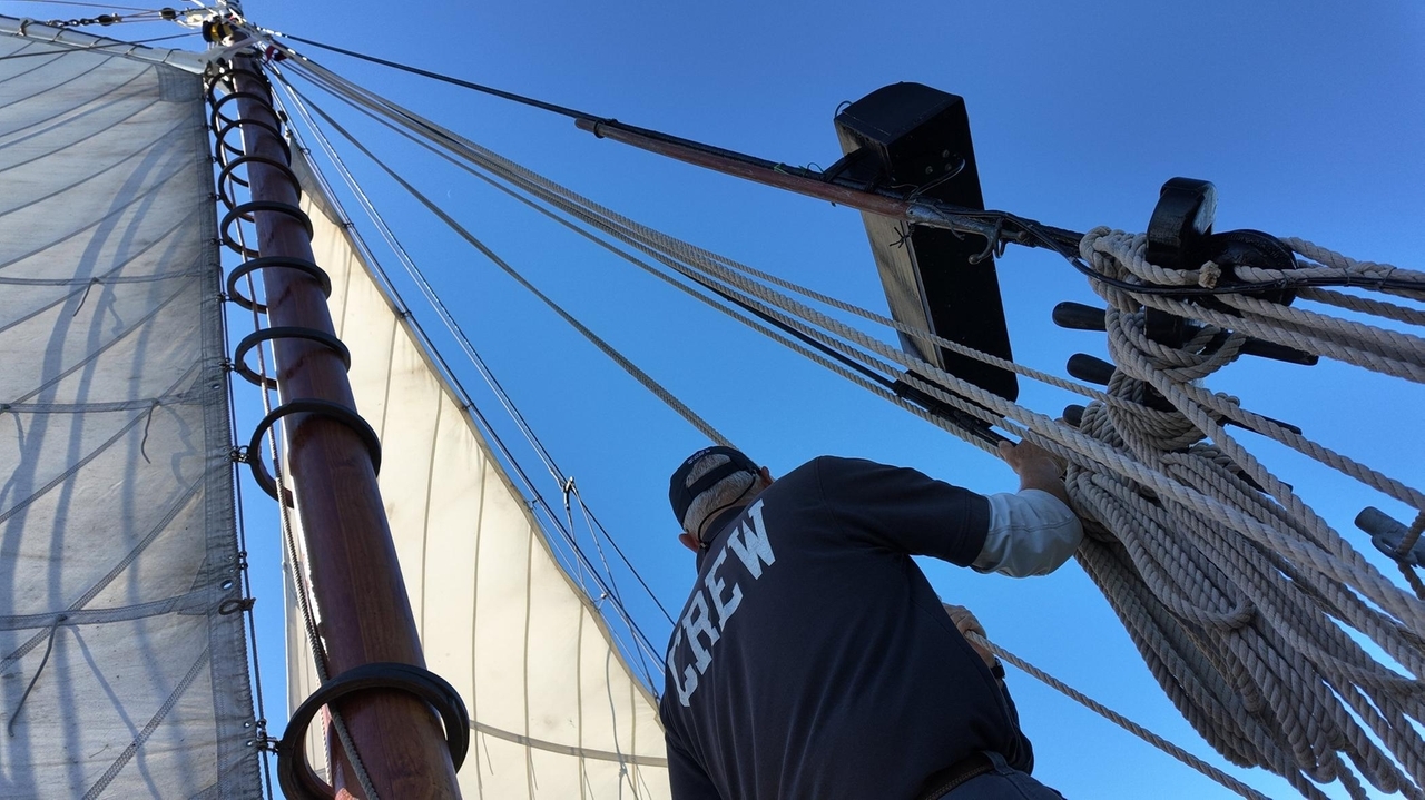 Oyster restoration project in Great South Bay