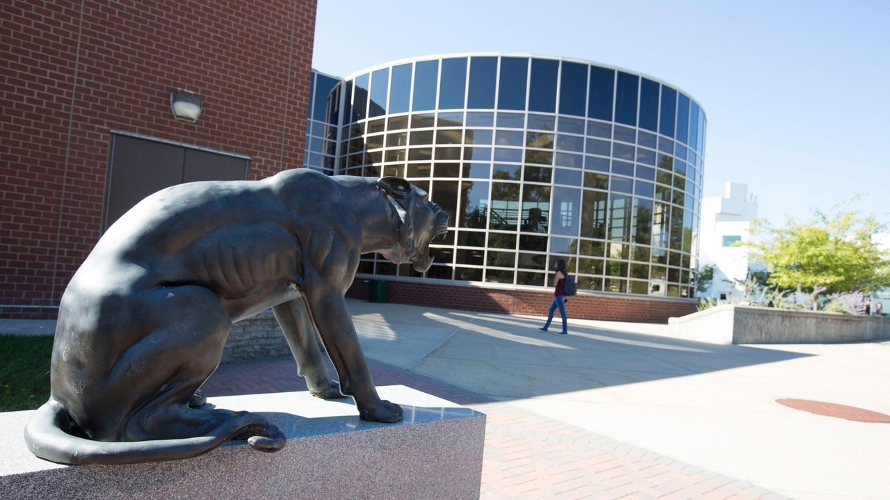 How Long Island colleges are helping struggling students