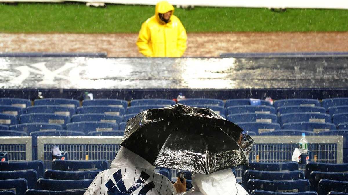  Yankee Stadium Dome Concept