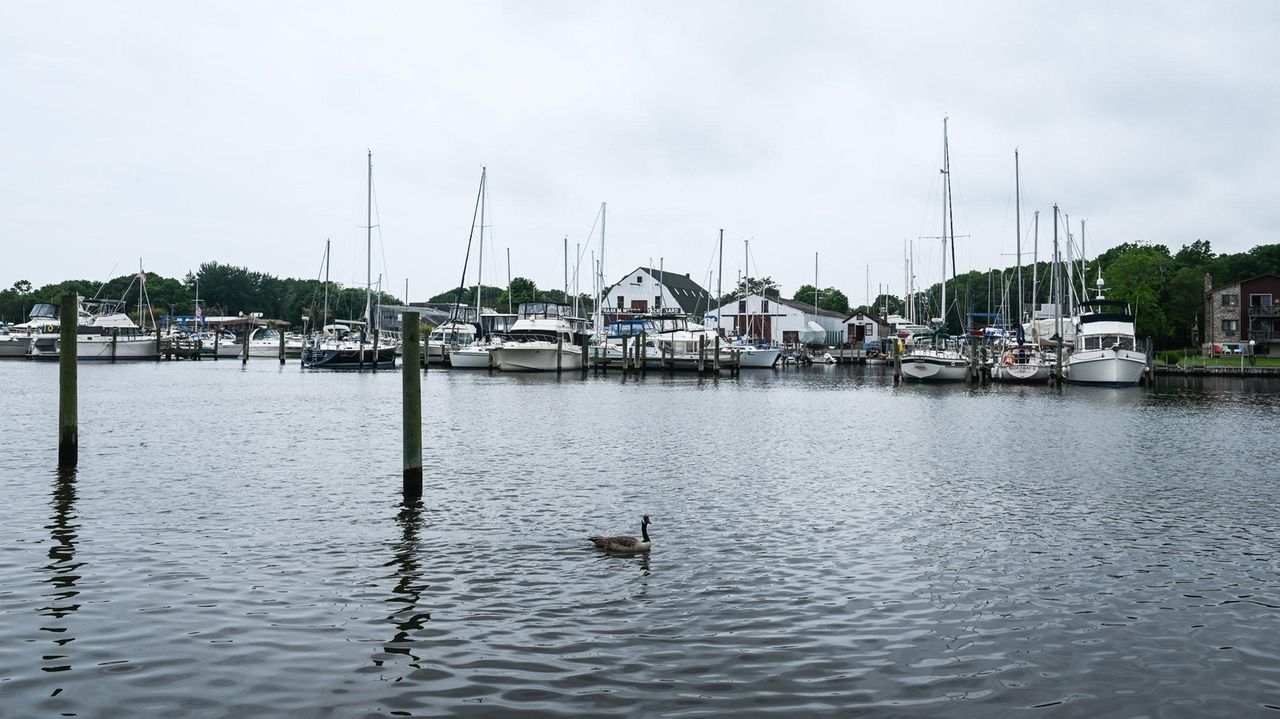 Residents warned against contact with Patchogue waterways after raw sewage spill - Vimarsana News