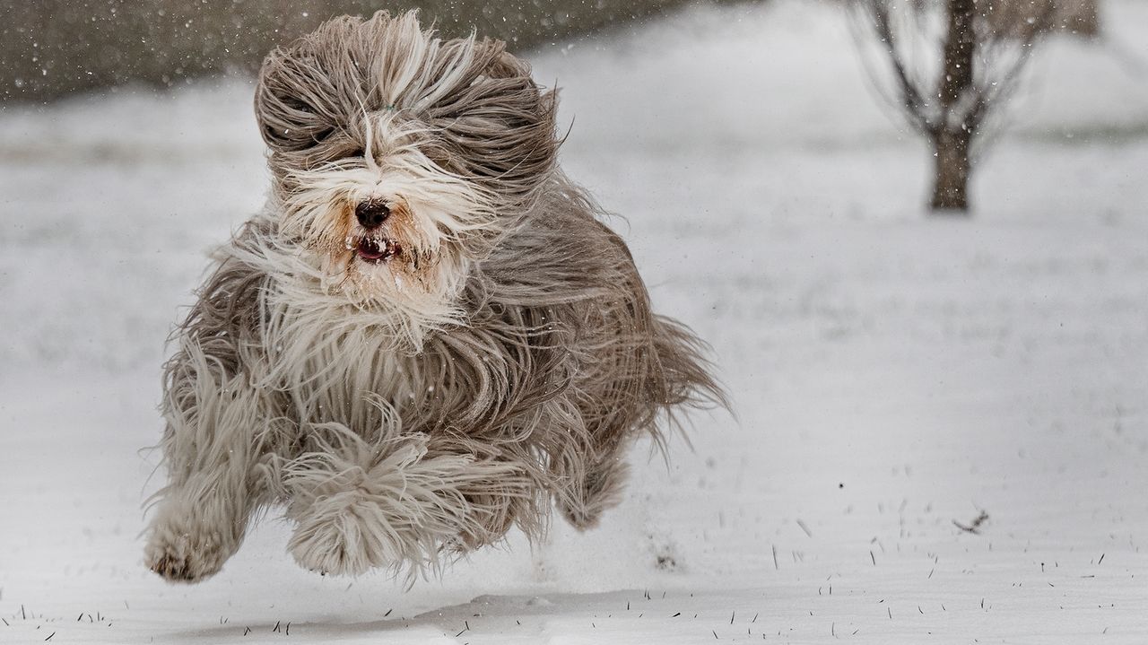 Southern US shivers as new winter storm threatens snow for Texas, Oklahoma and Arkansas