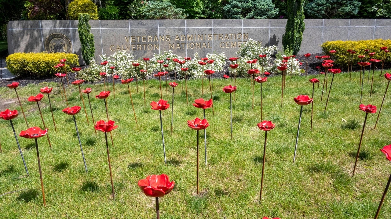 Students create ceramic poppies for Memorial Day tribute - Newsday