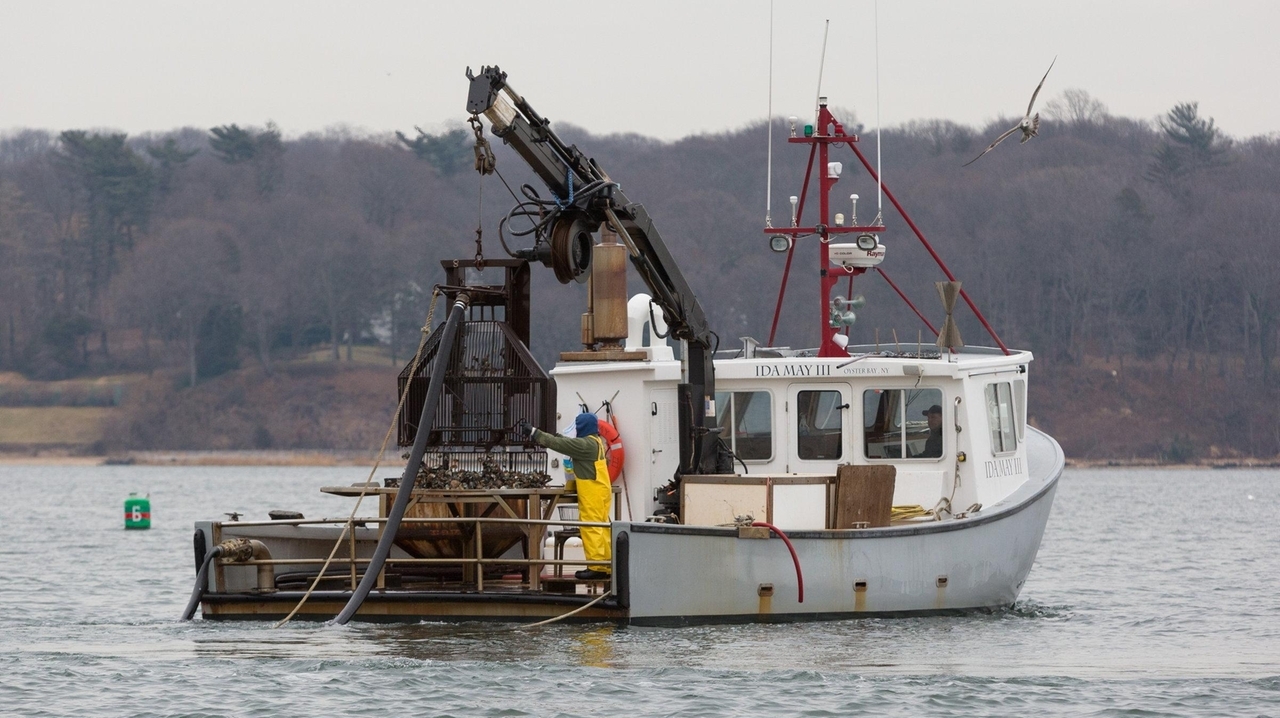 Shell fishing company fighting Oyster Bay in court to keep underwater lease - Vimarsana News