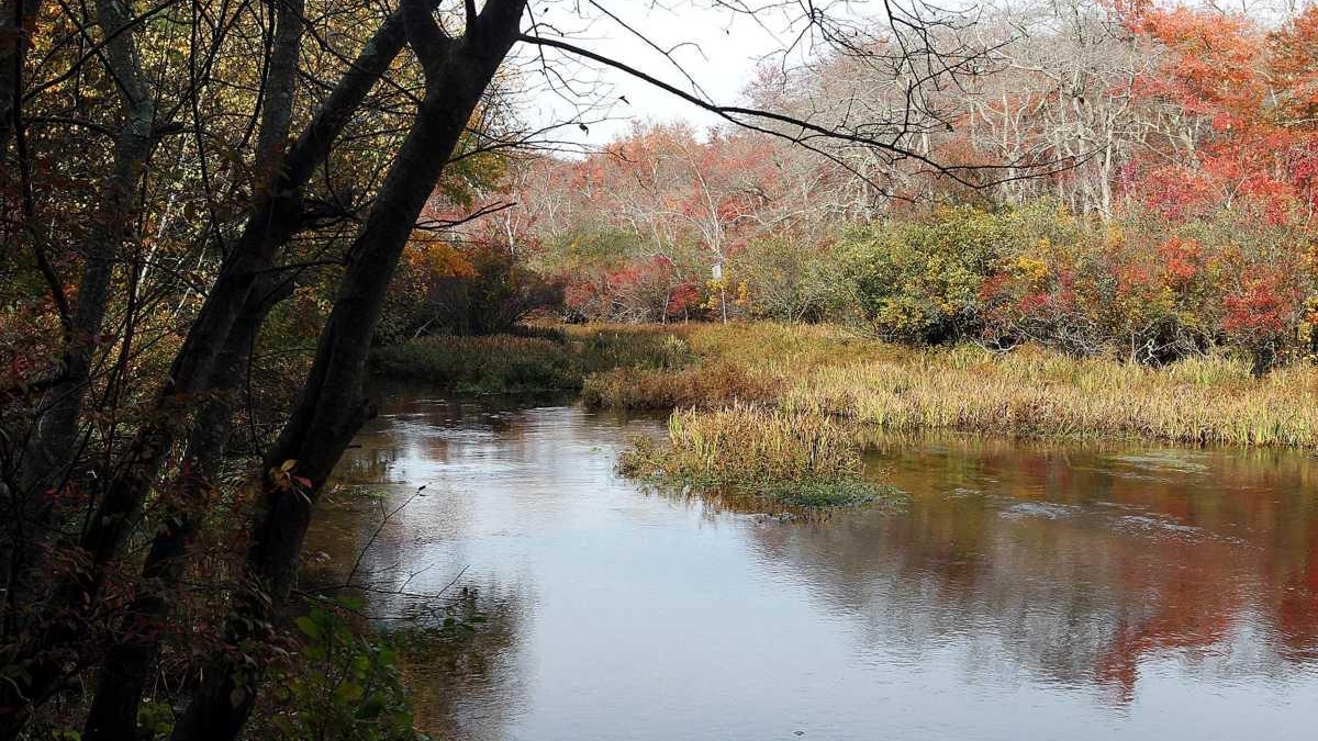 Carmans River preservation plan stalls - Newsday