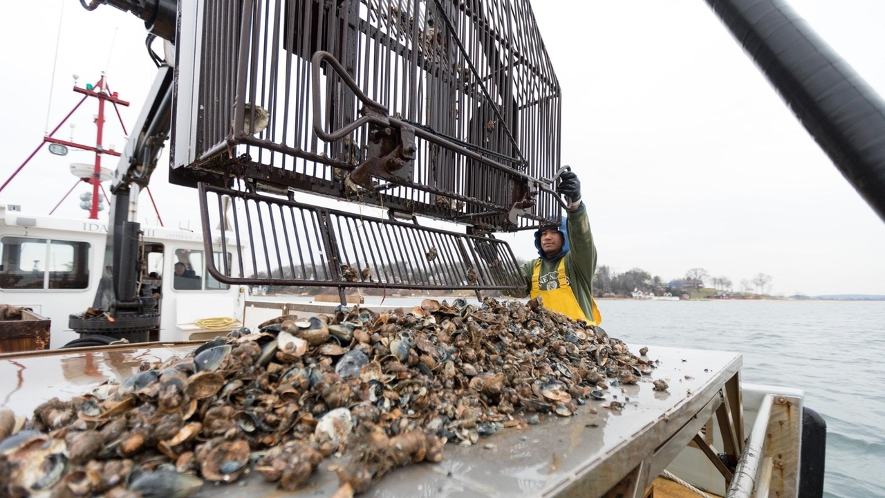 Shellfishing company, town in talks to settle lawsuit over clam ...