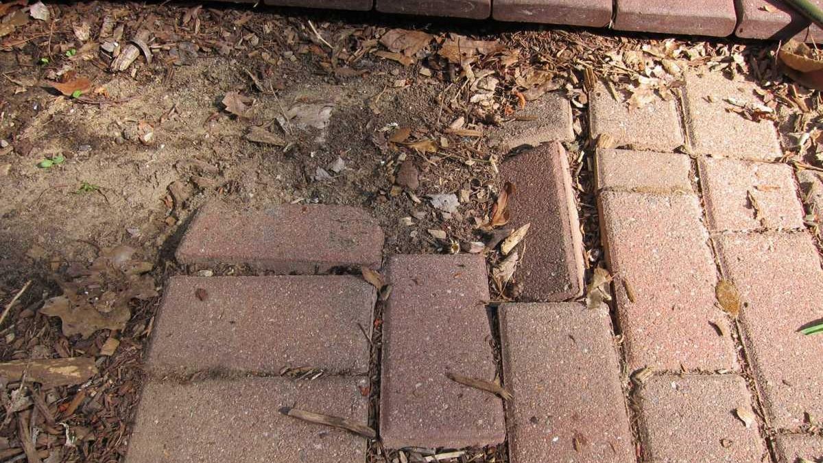 How to repair brick pavers Newsday