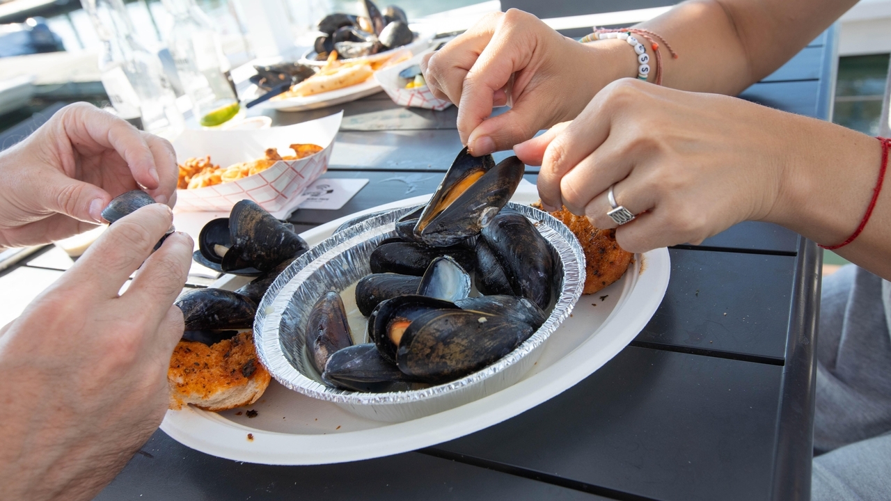 Casual seafood restaurants on Long Island - Vimarsana News