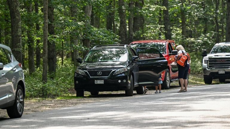 Sandy Hollow Day Camp, where Southampton Town is considering adding...