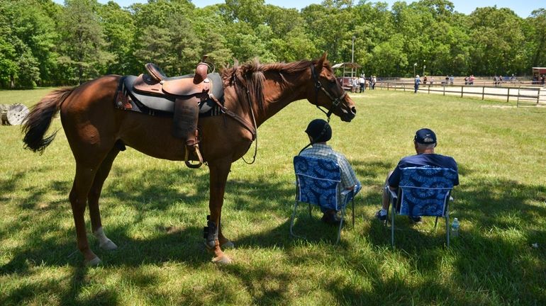 Hidden Pond Stables in Manorville.