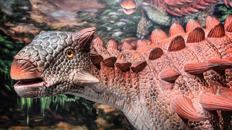 An animatronic Ankylosaurus from the Dinosaurs! exhibit on display at...