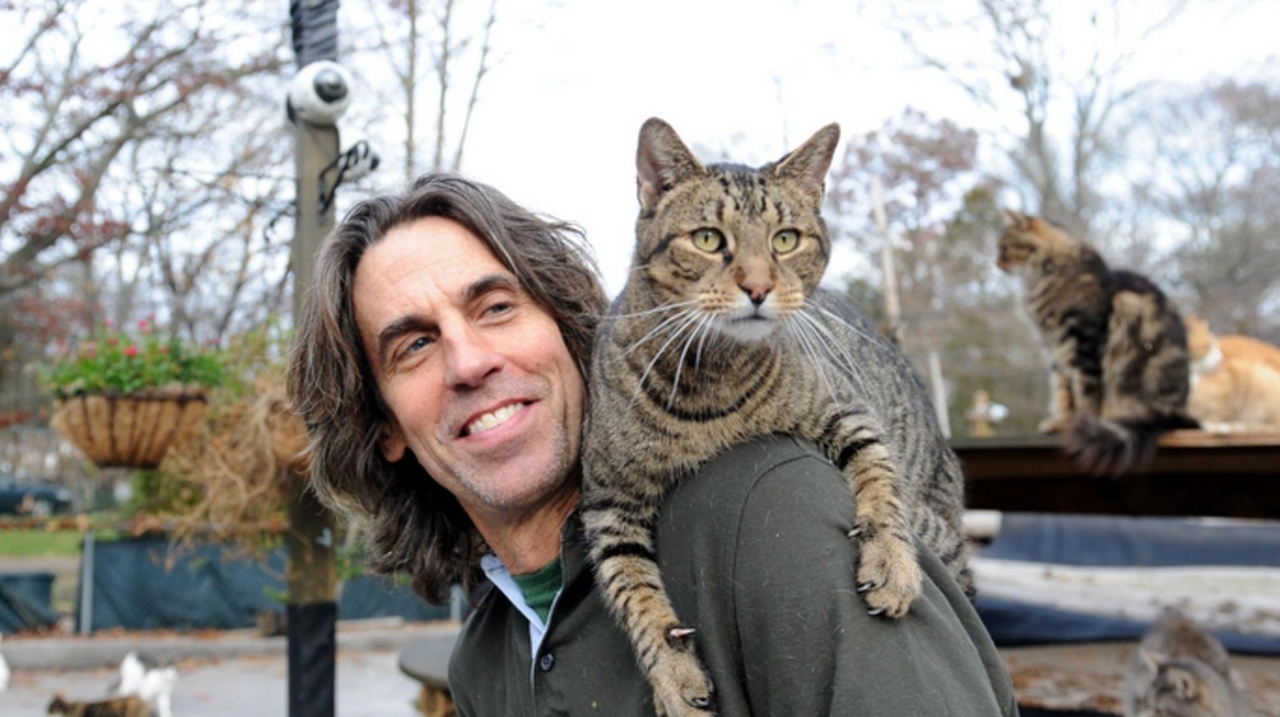 Chris Arsenault Lives With 300 Cats At Happy Cat Sanctuary Newsday