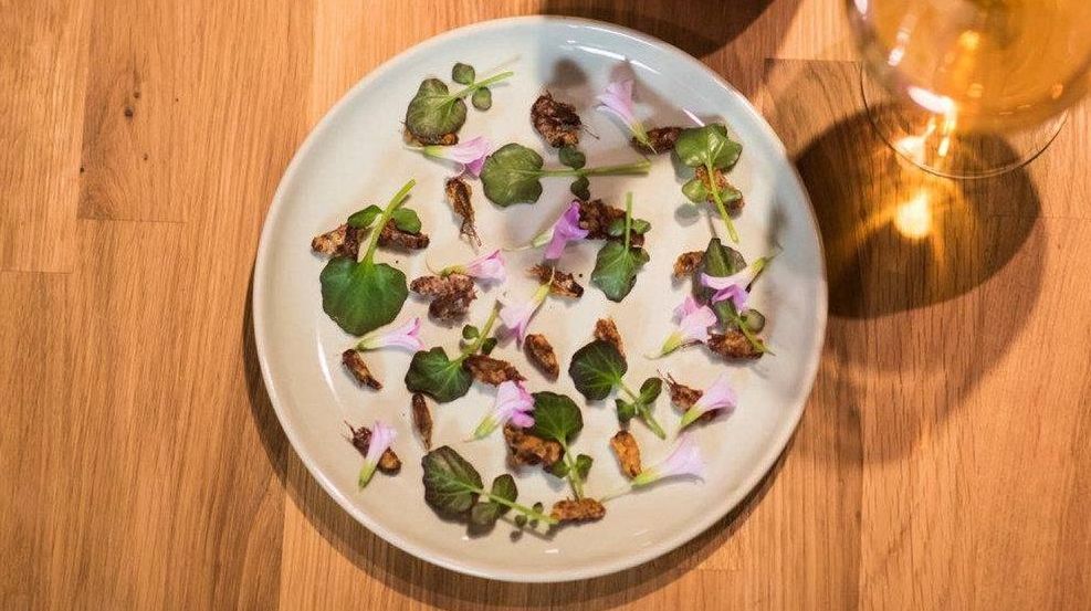 Long Island popup, PAWPAW, adds crickets to the menu Newsday