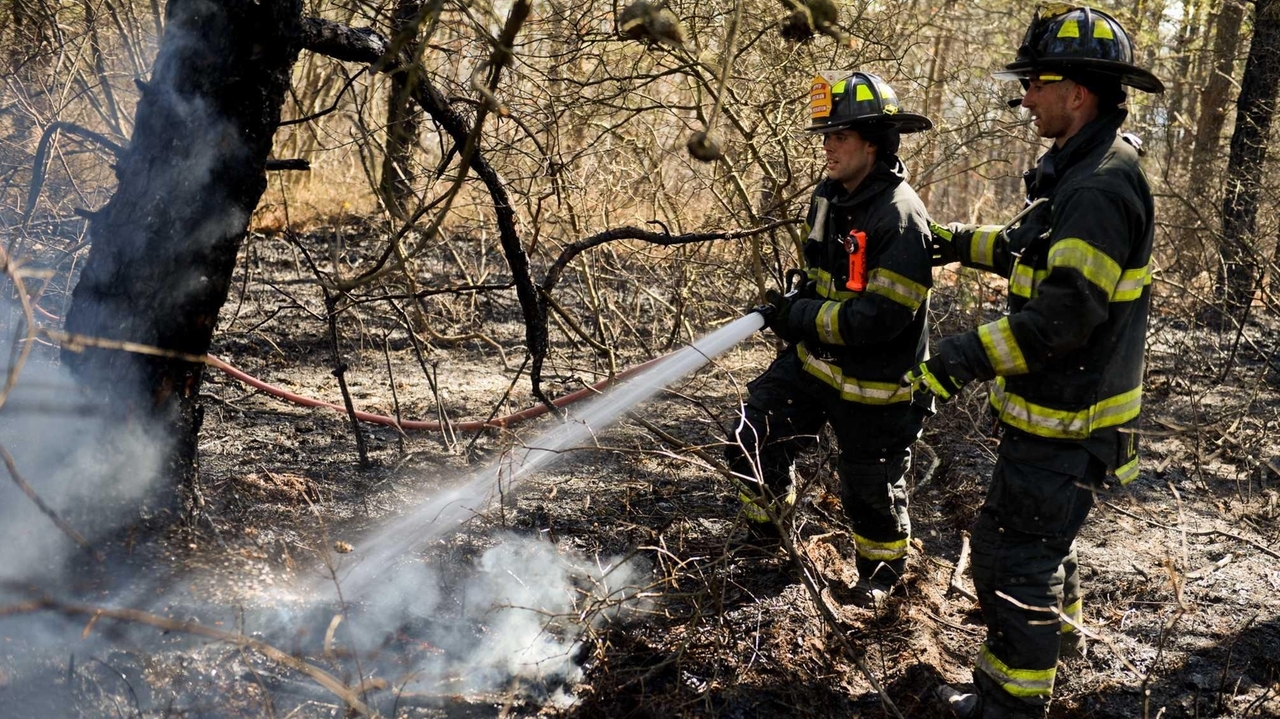LI firefighters bring Suffolk brush fire under control Saturday - Newsday