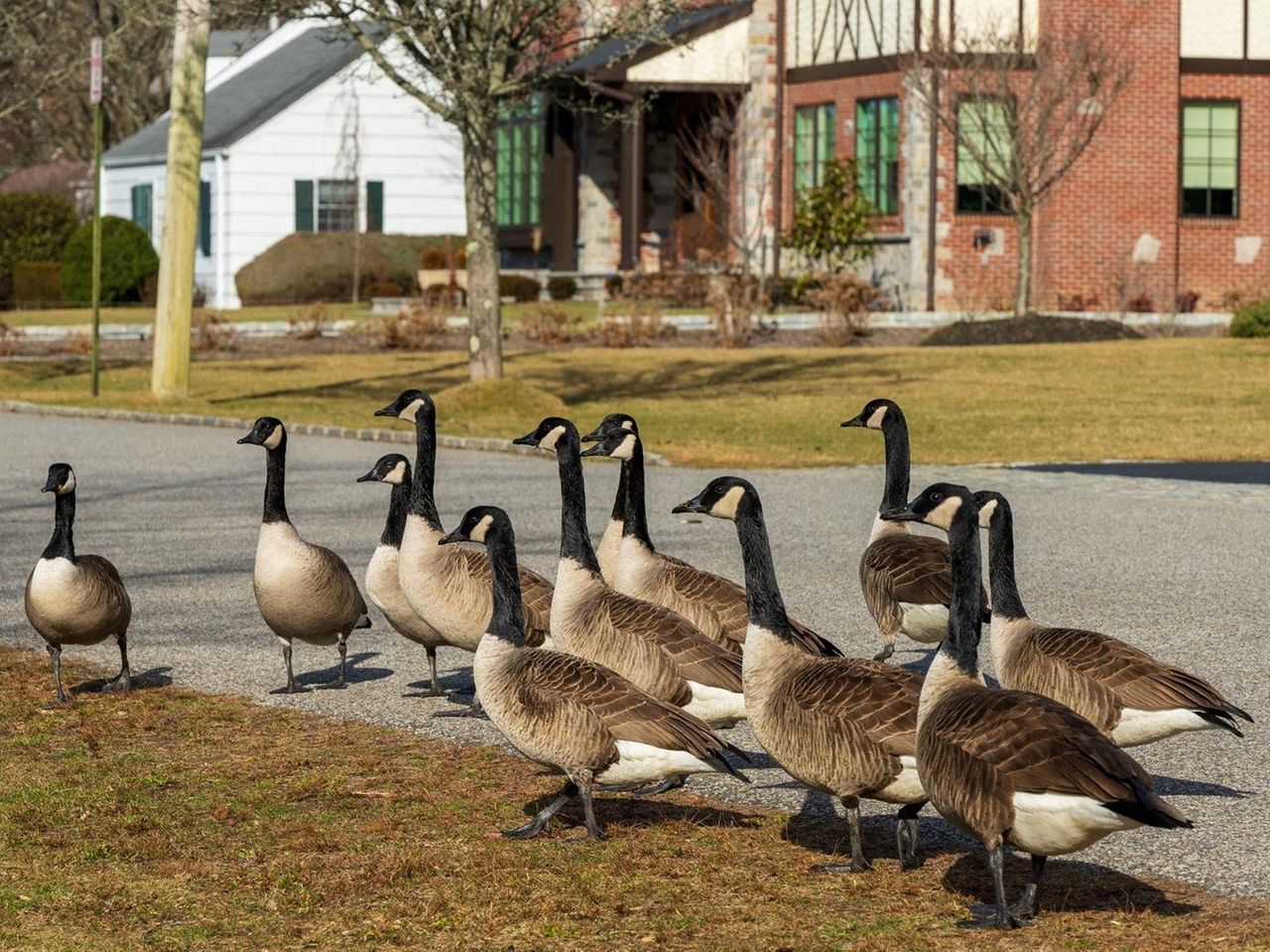 Canada goose outlet yorkdale village