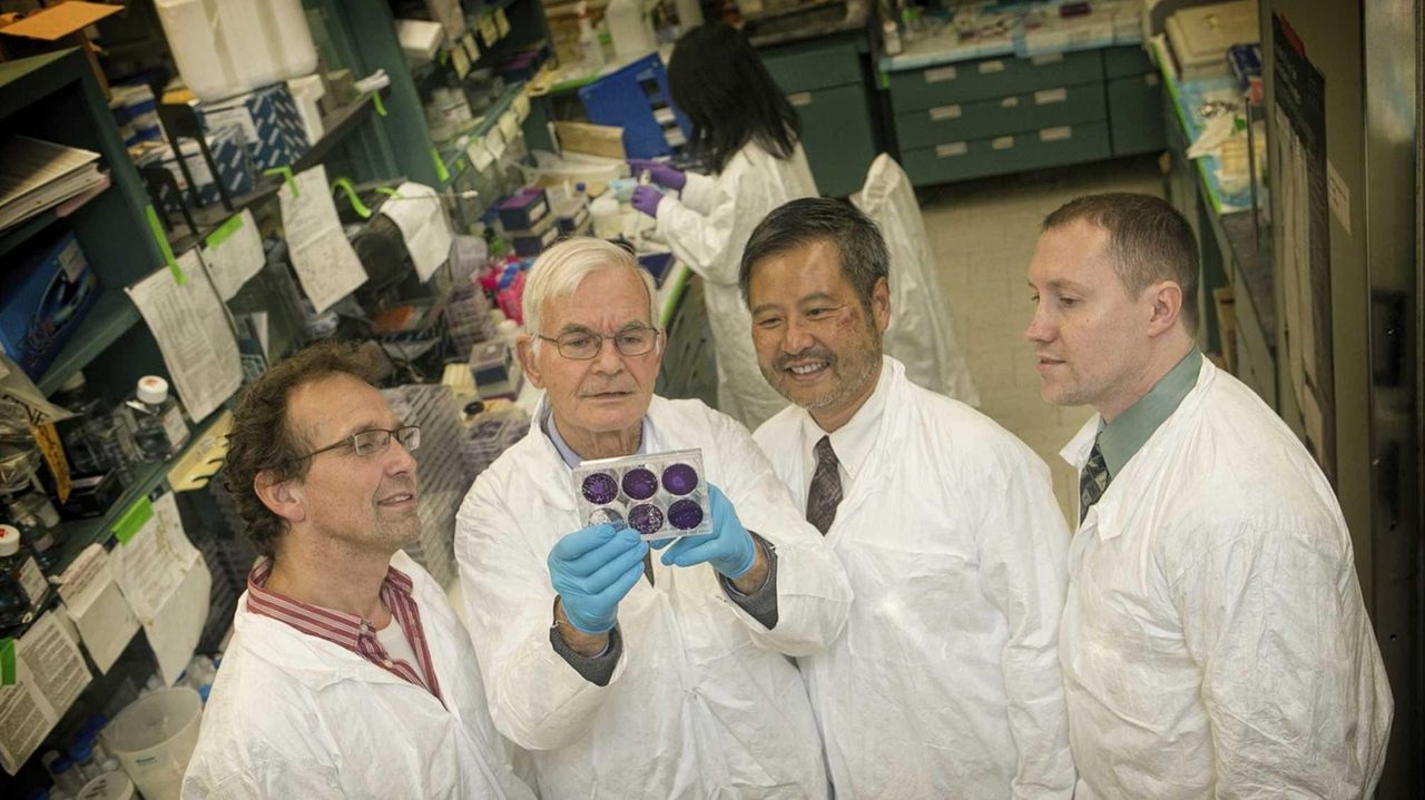 Stony Brook team aids effort to make polio vaccine Newsday