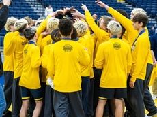 LI large and small school wrestling rankings