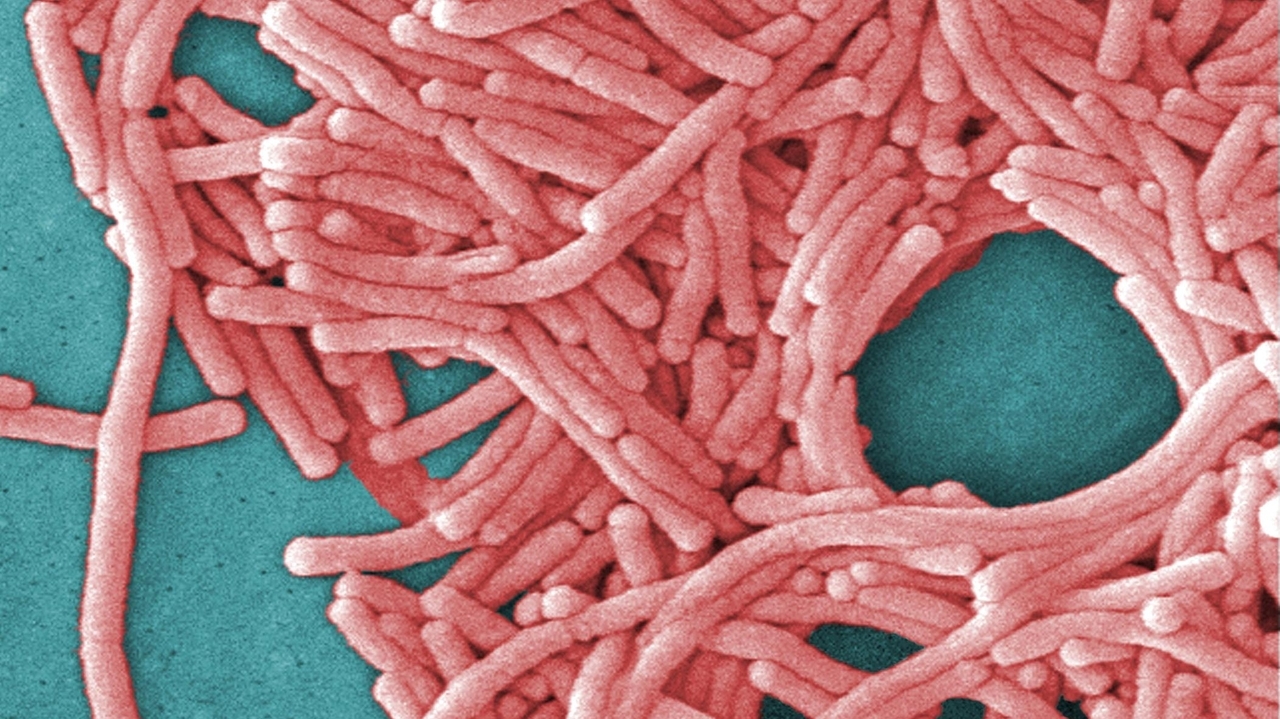Identifying High-Risk Groups and Symptoms