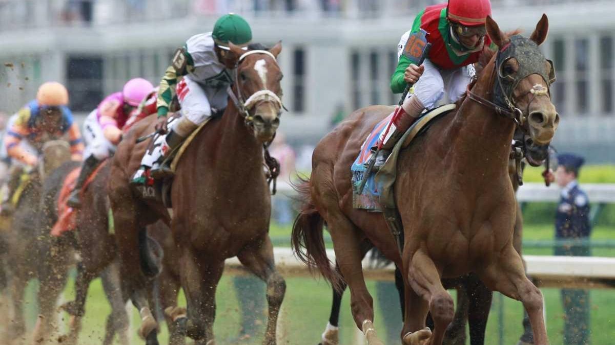 Animal Kingdom wins Kentucky Derby Newsday