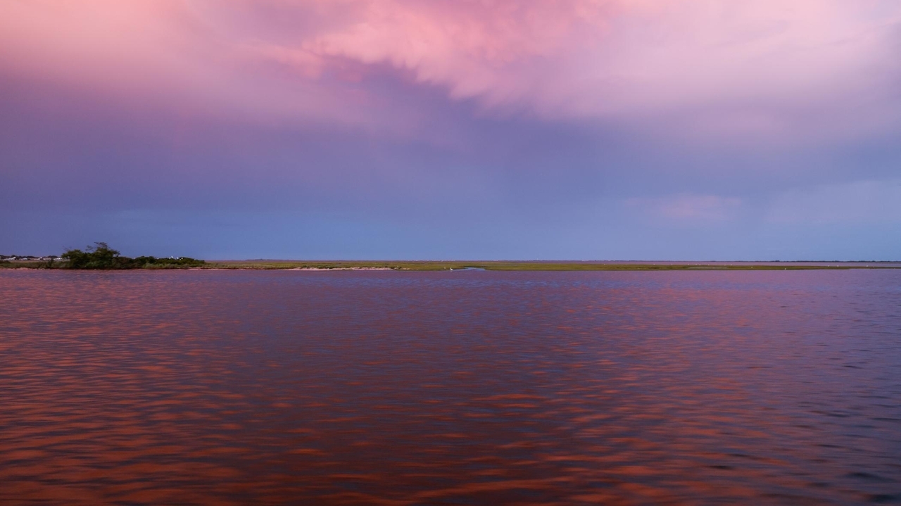 https://cdn.newsday.com/ace/c:YTU0ZTc2ODktNzcwOS00:YmZkZTAxMzUtZjAxMC00/landscape/1280