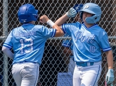 Port Washington Little League wins baseball state tournament opener, St. James/Smithtown loses