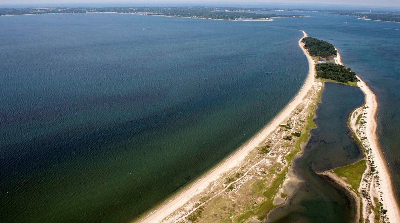 Expert: Rust tide bloom off East End could kill finfish, shellfish ...