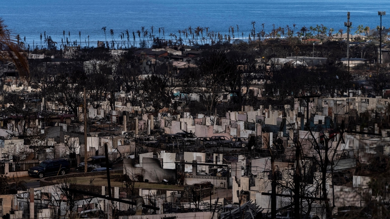 The wildfires in Hawaii are another wake-up call that the climate crisis imperils our health - Vimarsana News