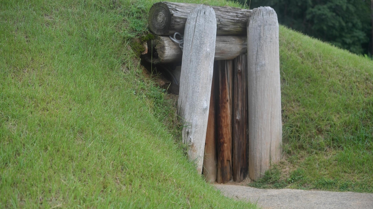 Ancestral lands of the Muscogee in Georgia would become a national park under bills in Congress - Vimarsana News
