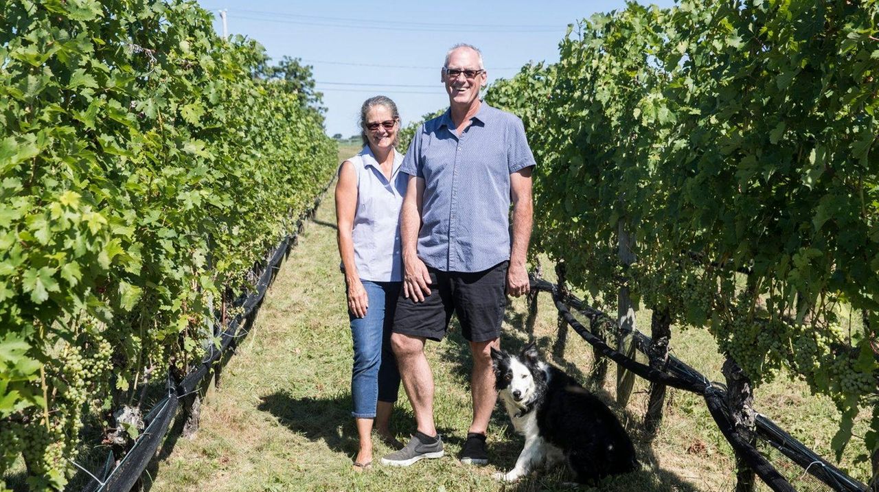 Shinn Estate Vineyards in Mattituck sold to N.J. couple Newsday