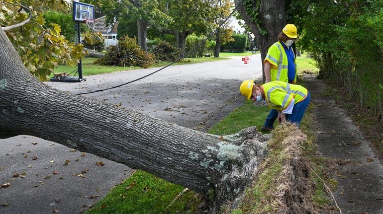 PSEG workers survey damage after Tropical Storm Isaias in August,...