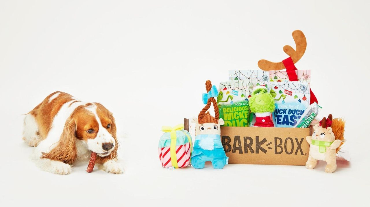 Paws'-itively spoiled: Gifts for pets and pet owners alike - Gift Shop  Magazine