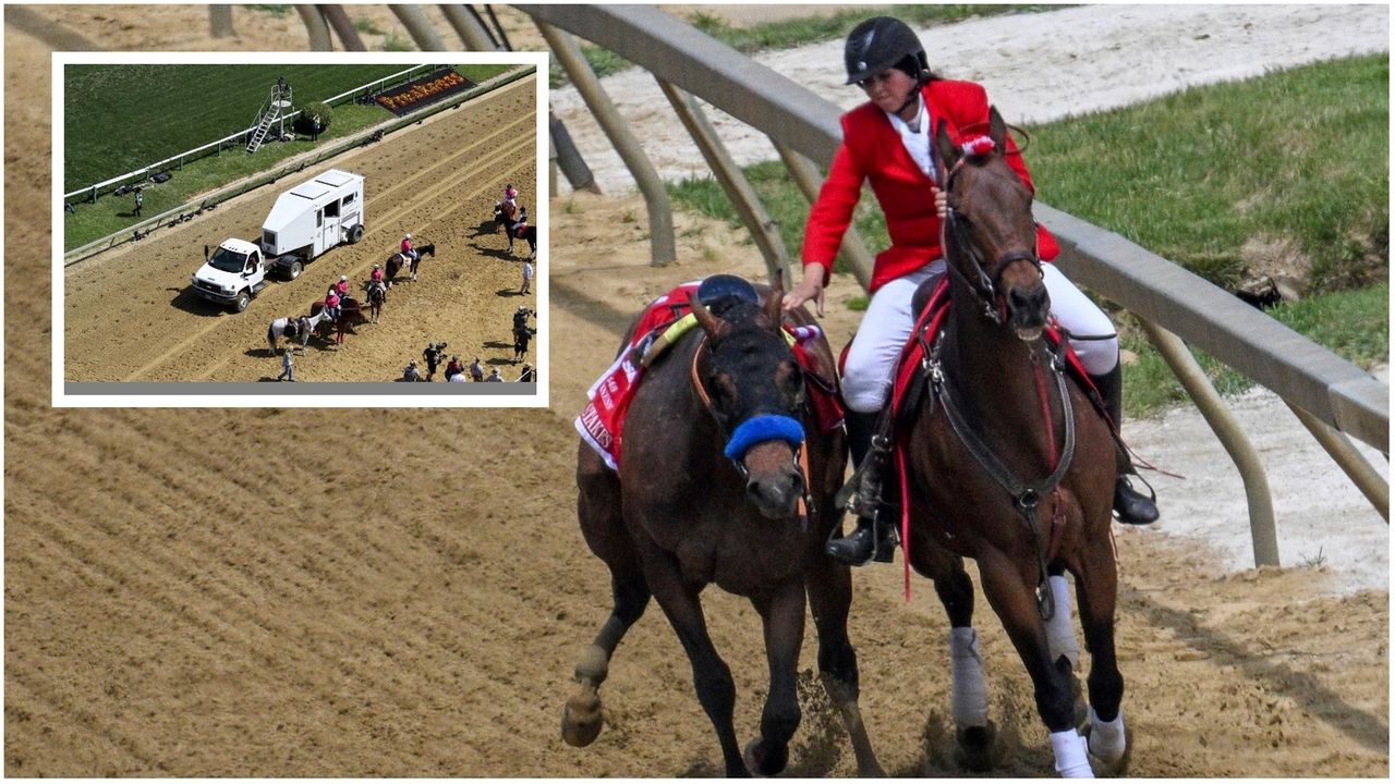 Death on the track at Belmont Newsday