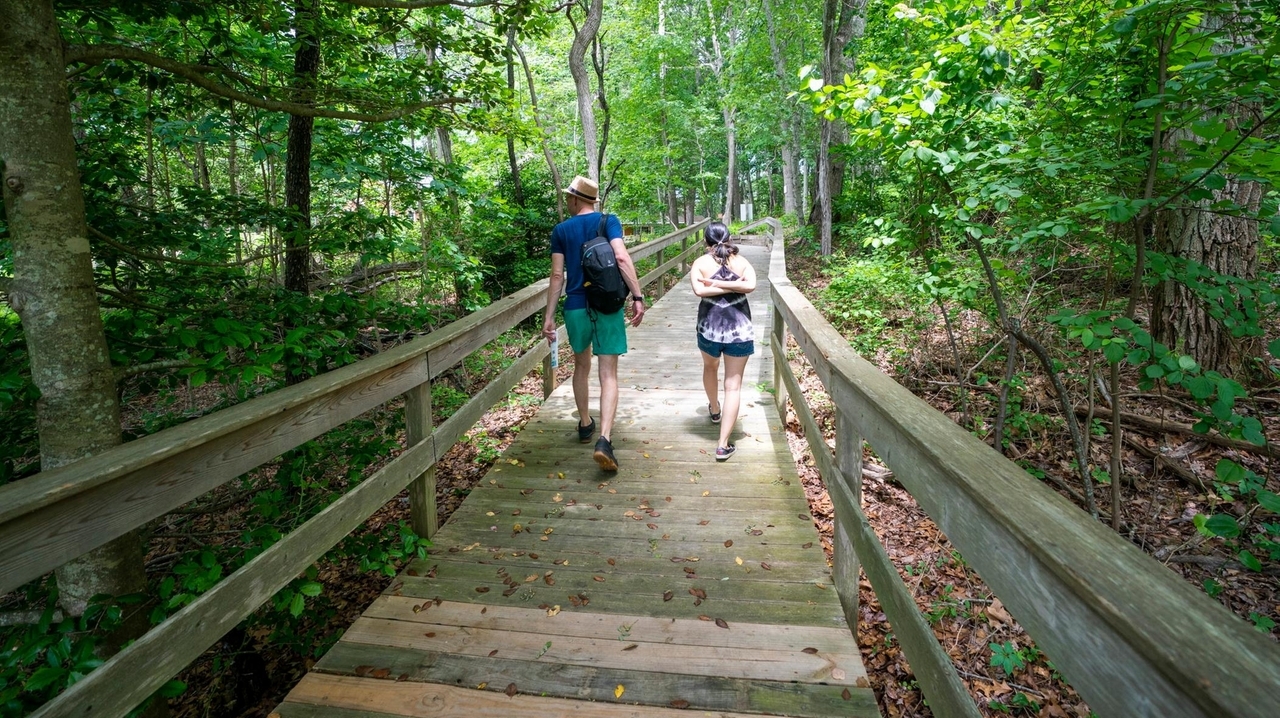 Die besten Wanderwege auf Long Island
